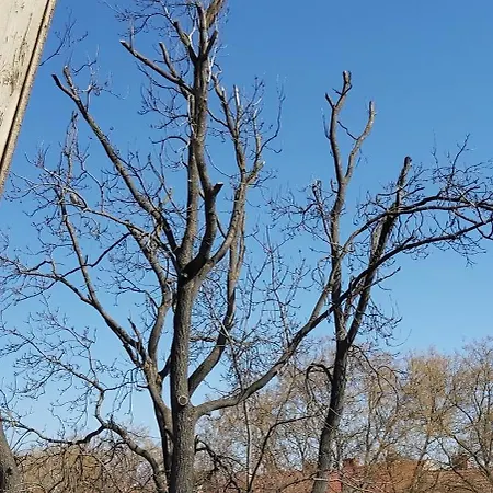 Park Vendeghaz * Kecskemét