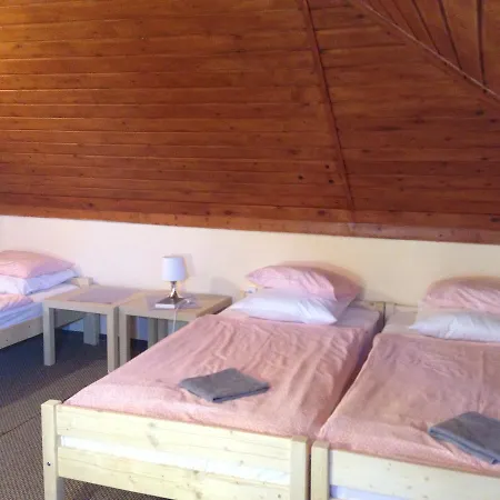 Park Vendeghaz Gæstehus Kecskemét