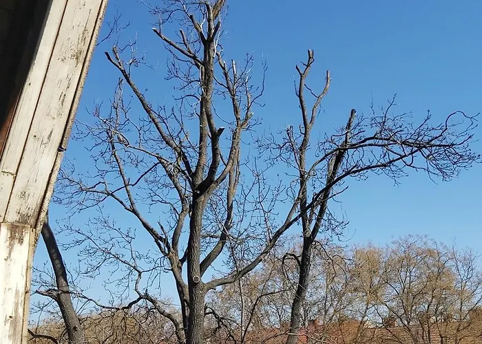 Park Vendeghaz * Kecskemét