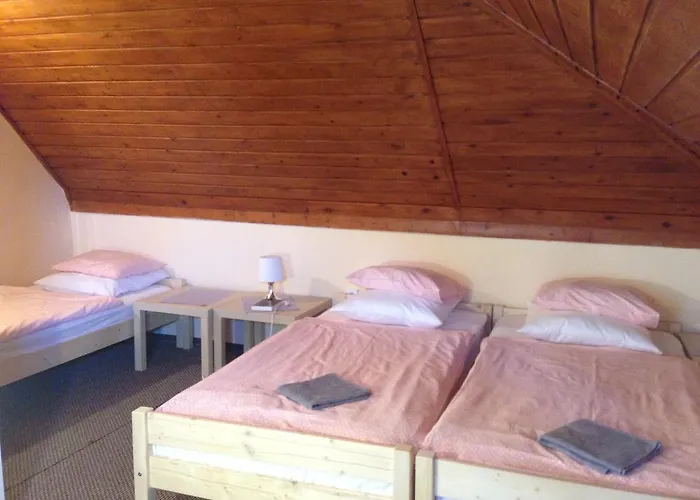 Park Vendeghaz Gæstehus Kecskemét